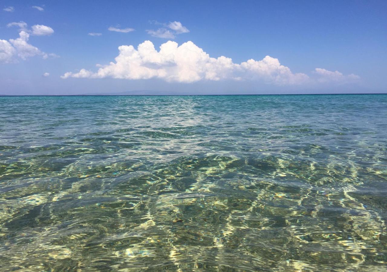 Seasidelongo Houses 1 Min From The Beach Of Nikiti المظهر الخارجي الصورة